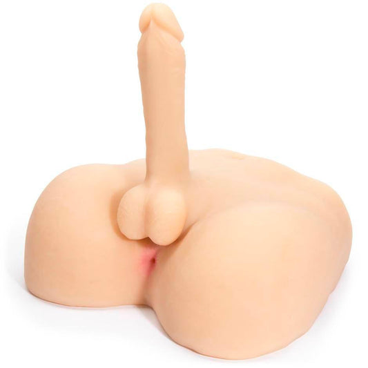 Torso abdomen masculino