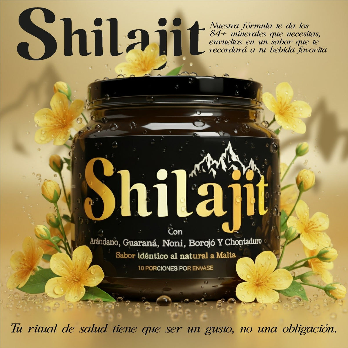 Shilajit Premium en jalea