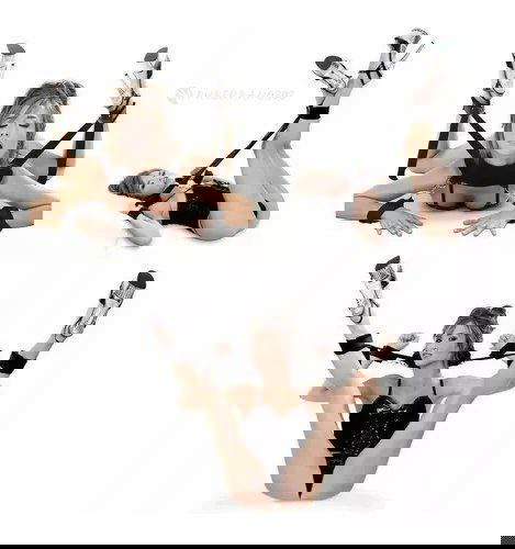 Inmovilizador Dominated - IntimoX SexShop